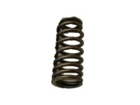 OEM Lincoln Valve Springs - AA5Z-6513-A
