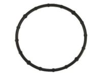 OEM Ford Adapter Seal - AL3Z-8255-A