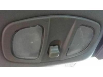 GM 15273905 Console-Roof *Gray