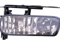 OEM Cadillac Fog Lamp Assembly - 15252039