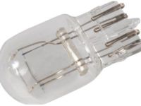 OEM Chevrolet Silverado Run Lamp Bulb - 13591404
