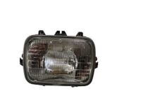 OEM Buick Headlamp Capsule - 25949657