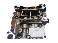 OEM Honda Pump Assembly, Oil - 15100-RZA-013