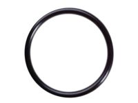 OEM Nissan Frontier Ring-O Fuel Gag - 17342-01A00