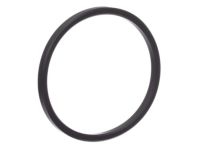 OEM Nissan Frontier Ring-Rubber - 21304-JA11A