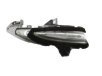 OEM Lexus Lamp Assy, Side Turn Signal, RH - 81730-48020