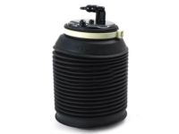 OEM Cylinder Assy, Pneumatic, Rear RH - 48080-35011