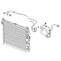 OEM Chevrolet Camaro Retainer, Trans Fluid Cooler Pipe Fitting Diagram - 24205103