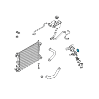 OEM Ford Thermostat Unit Seal Diagram - 7T4Z-8590-A