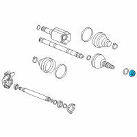 OEM Chevrolet Axle Assembly Nut Diagram - 11611687