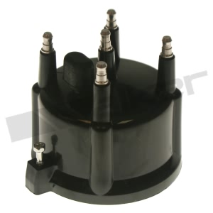 Walker Products Ignition Distributor Cap for Jeep Wrangler - 925-1022