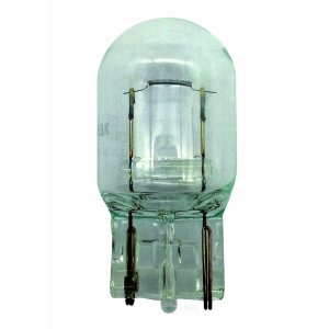 Hella 7440Ll Long Life Series Incandescent Miniature Light Bulb for 2001 Honda Odyssey - 7440LL