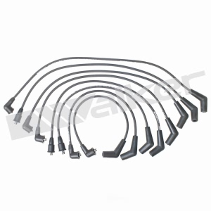 Walker Products Spark Plug Wire Set for Land Rover - 924-1390