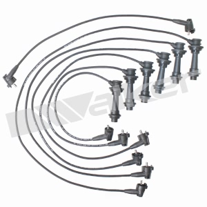 Walker Products Spark Plug Wire Set for Lexus - 924-1318