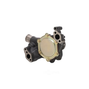 Dayco Engine Coolant Water Pump for Chevrolet Camaro - DP10031