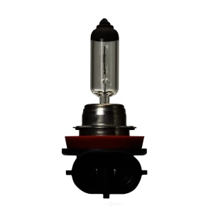 Hella H16 Standard Series Halogen Light Bulb for Smart - H16
