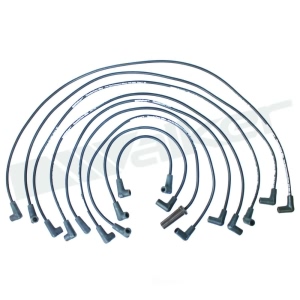 Walker Products Spark Plug Wire Set for GMC Caballero - 924-1423