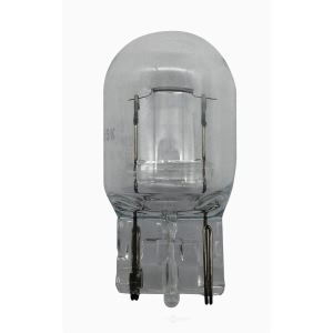 Hella 7440Tb Standard Series Incandescent Miniature Light Bulb for Fiat - 7440TB