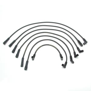 Delphi Spark Plug Wire Set for Chevrolet S10 Blazer - XS10302