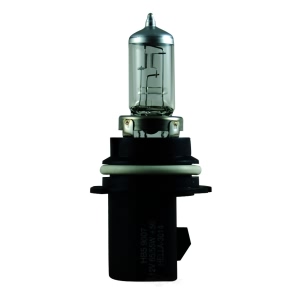 Hella 9007P50 Performance Series Halogen Light Bulb for Hummer - 9007P50