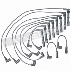 Walker Products Spark Plug Wire Set for Audi - 924-1389