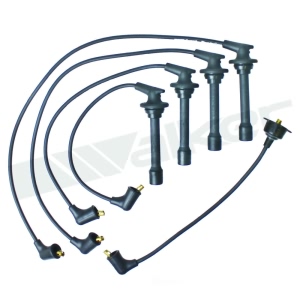 Walker Products Spark Plug Wire Set for Honda - 924-1648