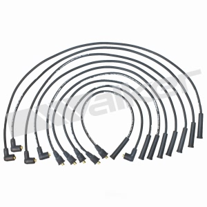 Walker Products Spark Plug Wire Set for Land Rover - 924-1382