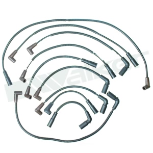 Walker Products Spark Plug Wire Set for Pontiac - 924-1476