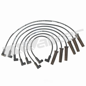 Walker Products Spark Plug Wire Set for 1991 Chevrolet Camaro - 924-1300