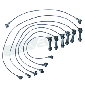 Walker Products Spark Plug Wire Set for Lexus - 924-1491