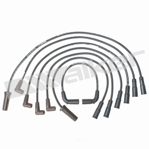 Walker Products Spark Plug Wire Set for Isuzu - 924-1362
