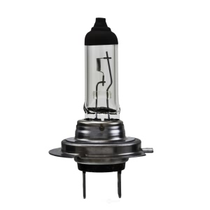 Hella H7Tb Standard Series Halogen Light Bulb for Mini Cooper - H7TB