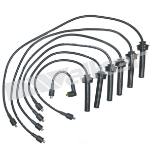 Walker Products Spark Plug Wire Set for Jaguar - 924-1267