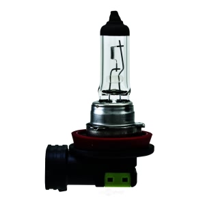 Hella H11 Standard Series Halogen Light Bulb for Ford Transit-350 HD - H11