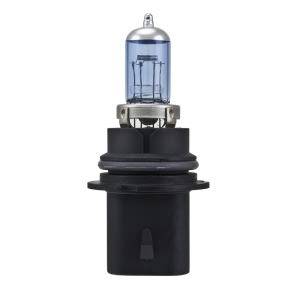 Hella Hb1 Design Series Halogen Light Bulb for Mercury Sable - H71070327
