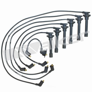Walker Products Spark Plug Wire Set for Honda - 924-1322