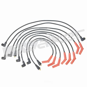 Walker Products Spark Plug Wire Set for Land Rover - 924-1388