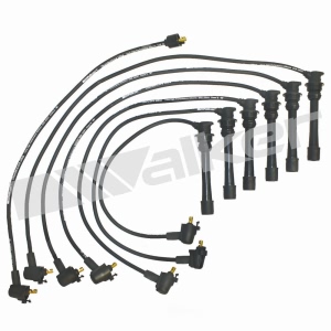 Walker Products Spark Plug Wire Set for Lexus - 924-1282