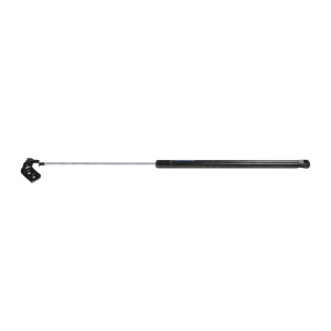 StrongArm Passenger Side Liftgate Lift Support for Mercury - 4839