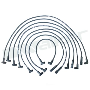 Walker Products Spark Plug Wire Set for GMC Caballero - 924-1528