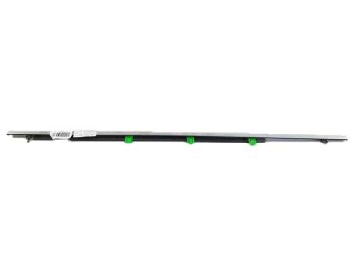 Acura 72950-TX4-A01 Molding Assembly, Left Rear Door