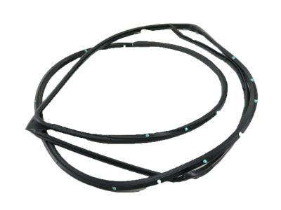 Acura 72310-TZ5-A01 Weatherstrip, Right Front