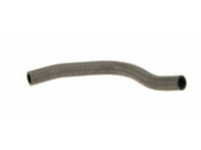 Acura 19506-RL5-A01 Hose, Water (Lower)