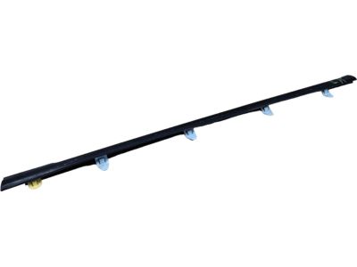 Acura 72950-S3V-A01 Molding Assembly, Left Rear Door