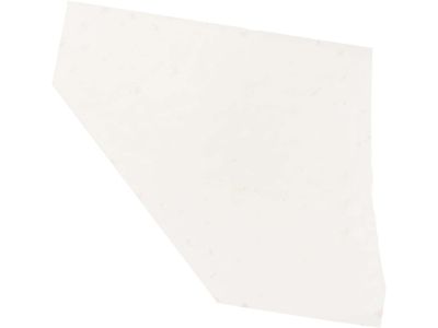 Acura 75890-STX-A10 Prtctn Tape, Right Rear Dr