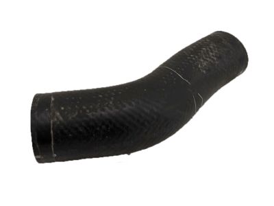 Acura 17291-5YF-A01 HOSE, INTCLR OUTLET