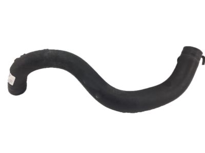 Acura 19502-R4H-A00 Hose, Water Lower