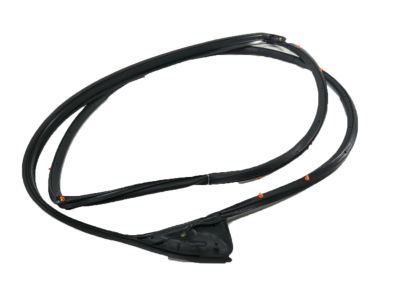Acura 72350-TZ5-A01 Weatherstrip, Left Front