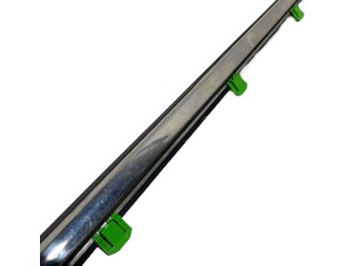 Acura 72450-TZ5-A01 Molding, Left Front Door