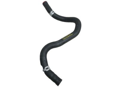 Acura 19502-5YF-A01 HOSE, WATER (UPPER)